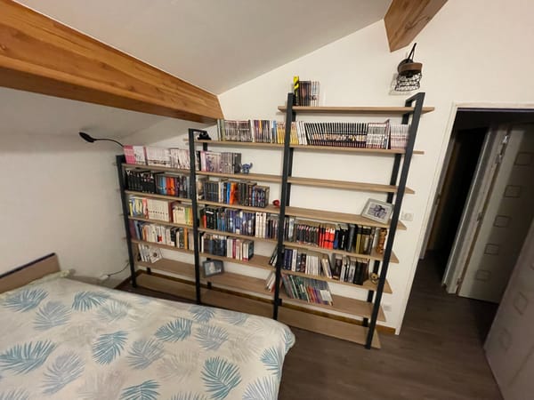 Bibliothèque en sous pente